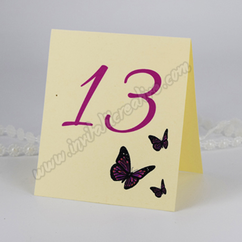 Numar de Masa Fluturi roz