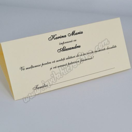 Alternative view of Plic de bani simplu ivoire