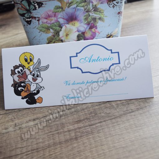 Plic de bani botez looney tunes