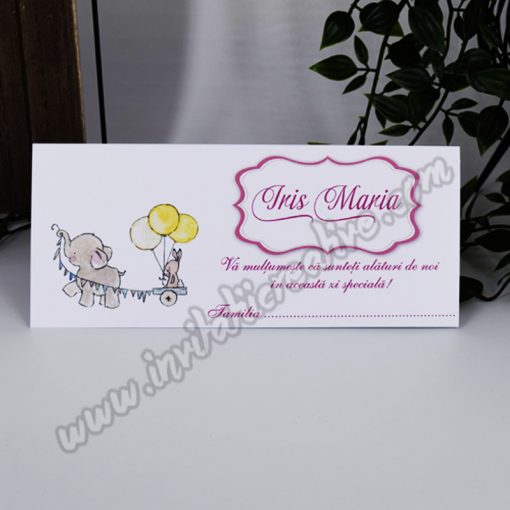 Plic de Bani Botez Haios cu Iepuras si Elefantel