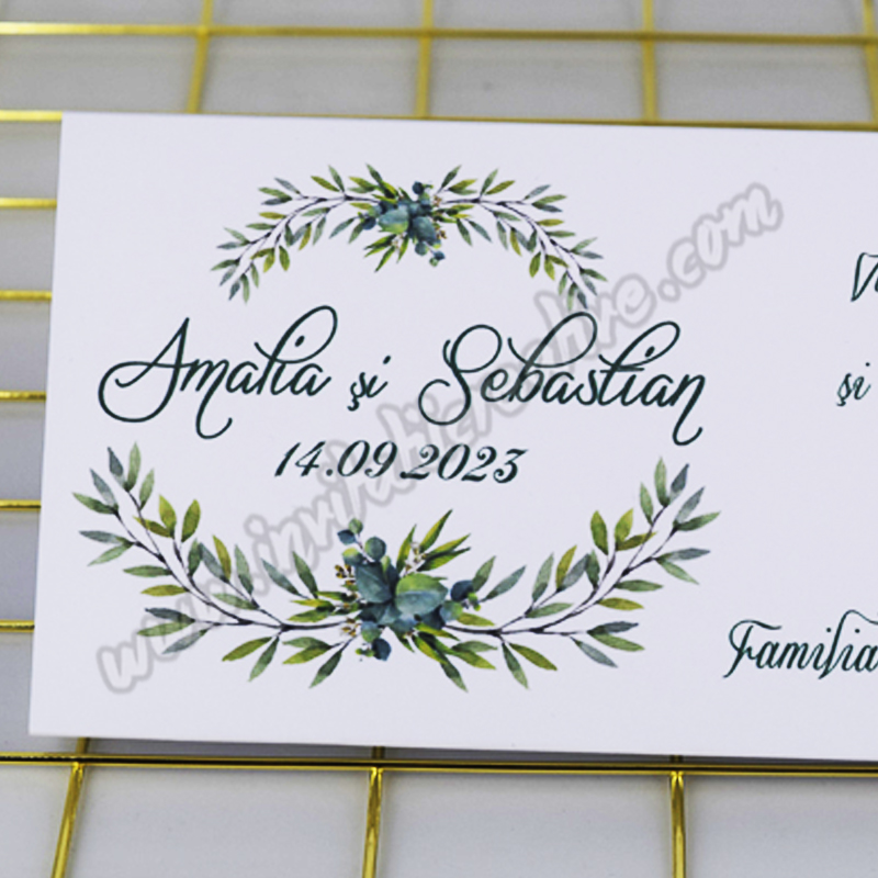 Plic de bani Design Verde Frunze Watercolor - imagine 4