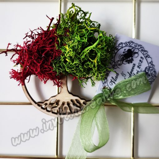 Marturie Magnetica Lemn Copac cu Licheni Rosu-Verde