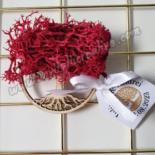 Marturie Magnetica Lemn Copac cu Licheni Rosii