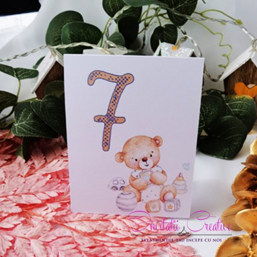 Numar de Masa Botez Ursulet cu Jucarii de Bebe