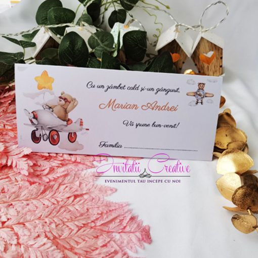 Plic de Bani Botez Haios cu Ursuleti de Plus in Avion