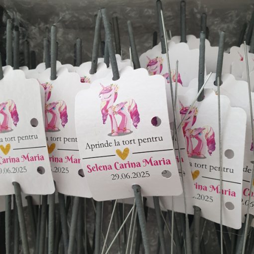 Artificii de Mana Dans-Tort Botez UnicorniA