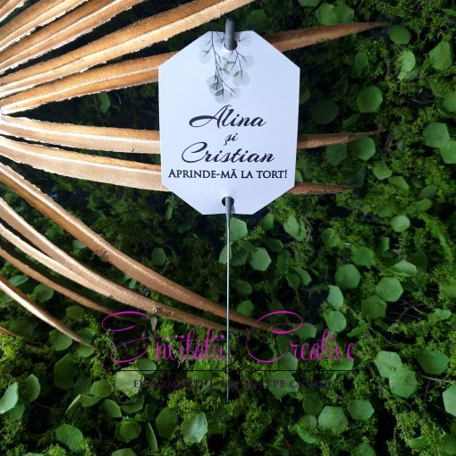 Artificii de Mana Dans-Tort Elegante cu Frunze Watercolor