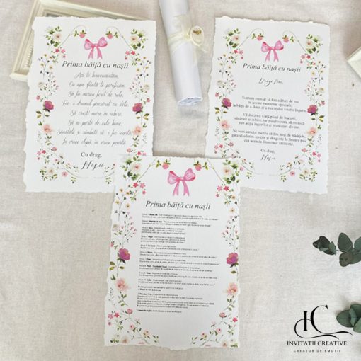 Set instructiuni mirodenii prima baita cu nasii sweet pink