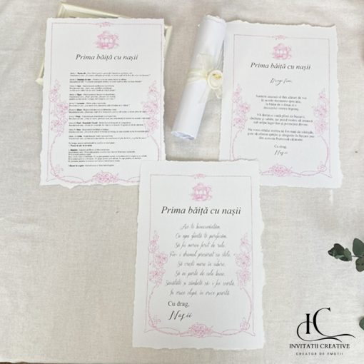 Set instructiuni mirodenii prima baita cu nasii retro pink