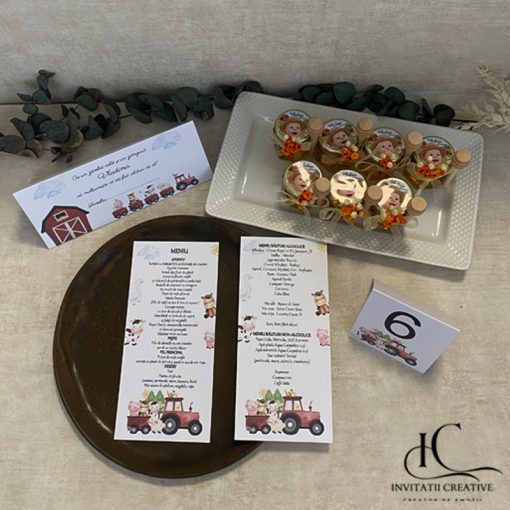 Alternative view of Plic de bani botez Viata la Ferma