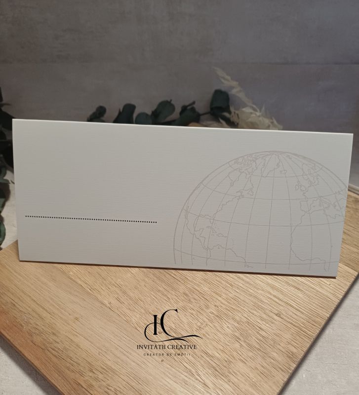 Plic de Bani Nunta Calatorie cu Avionul spate