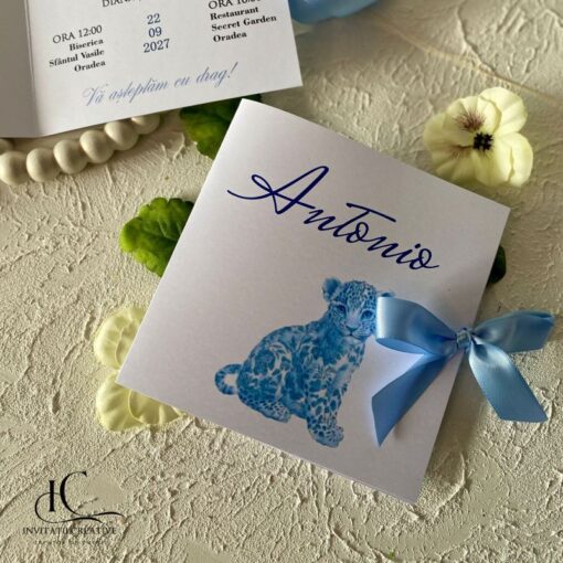 Invitatie de Botez Baiat Tigru Dior Vintage