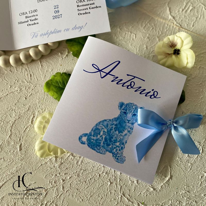 Invitatie de Botez Baiat Tigru Dior Vintage