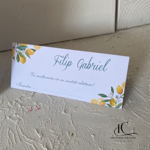 Plic de Bani Elegant Amalfi Lemons