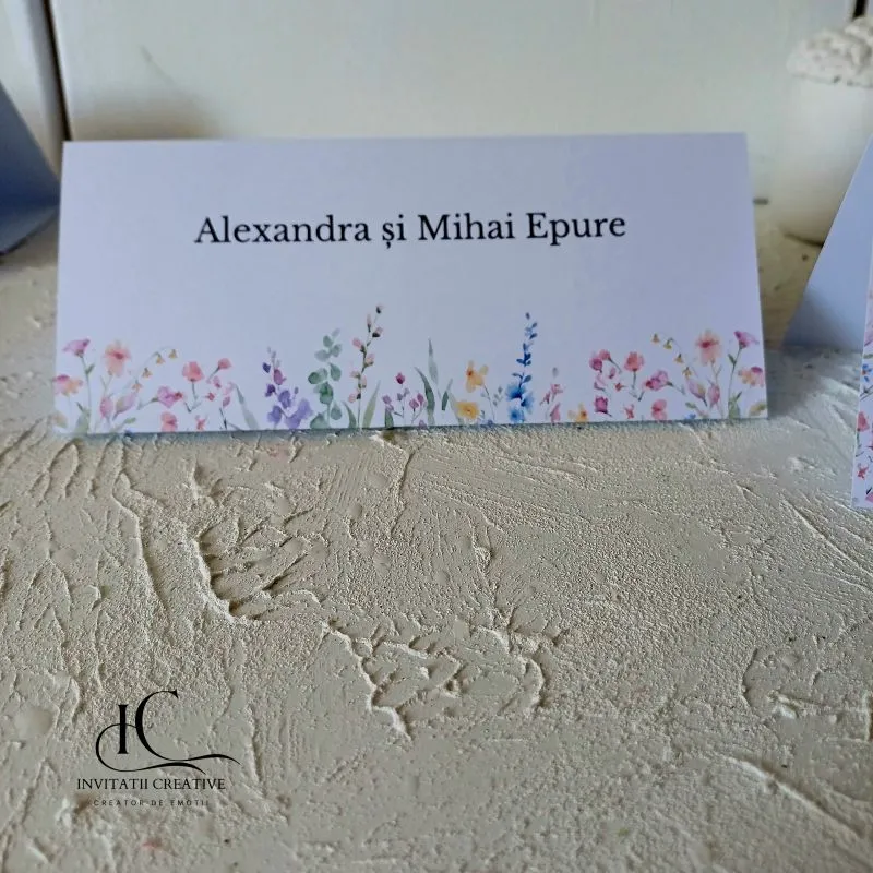 Plic de Bani cu Design Floral Watercolor